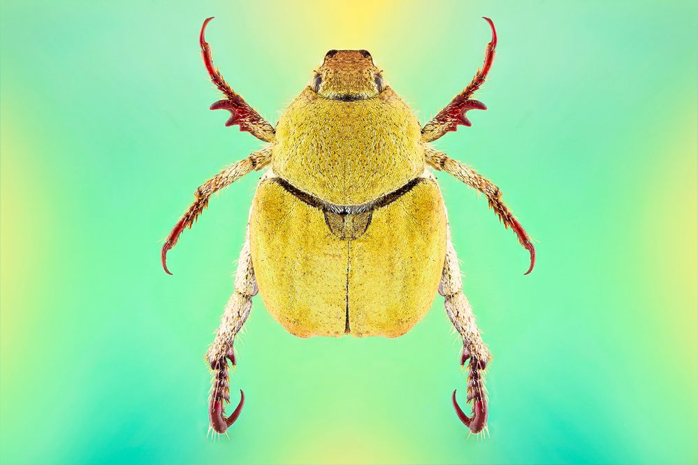 Photograph by Hocine Ferhat