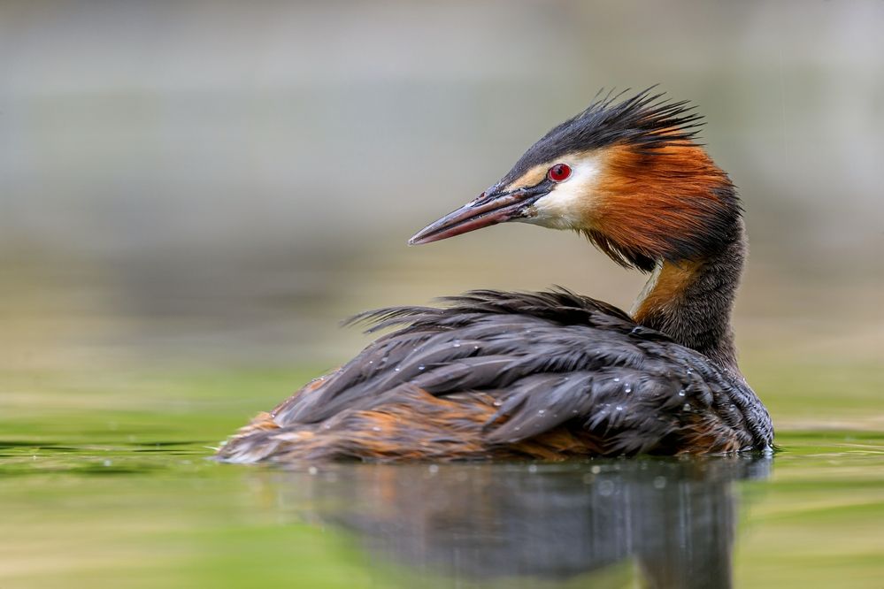 Photograph by Пупонин Сергей