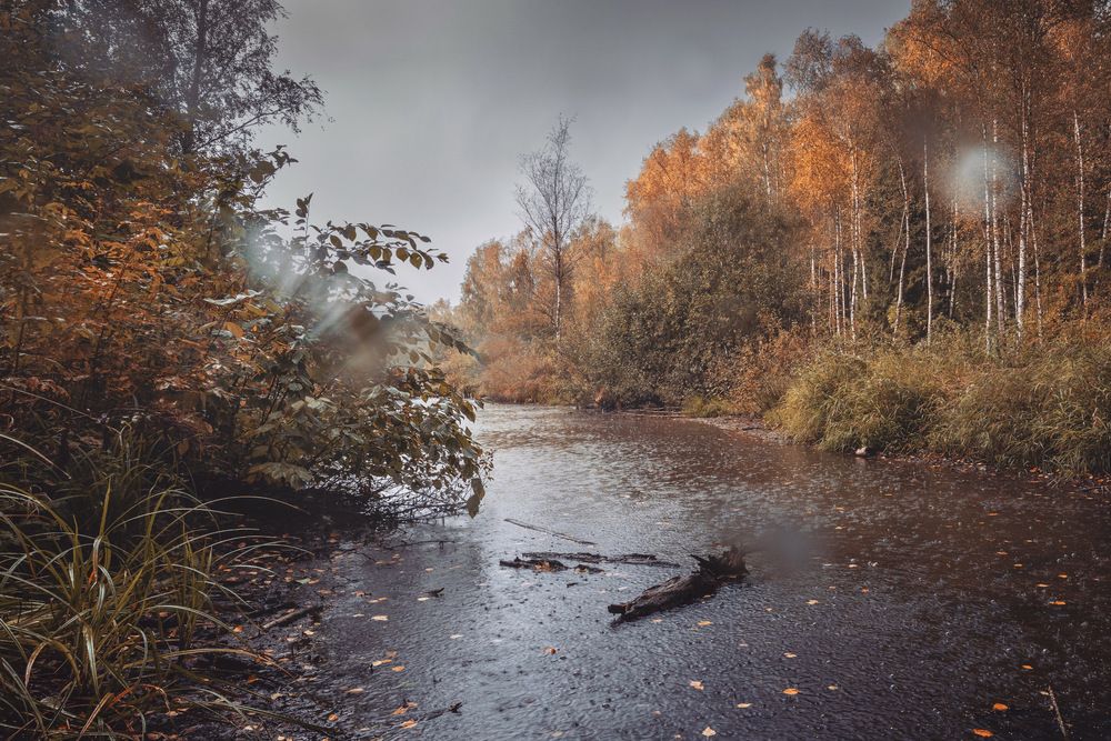 Photograph by Diana K