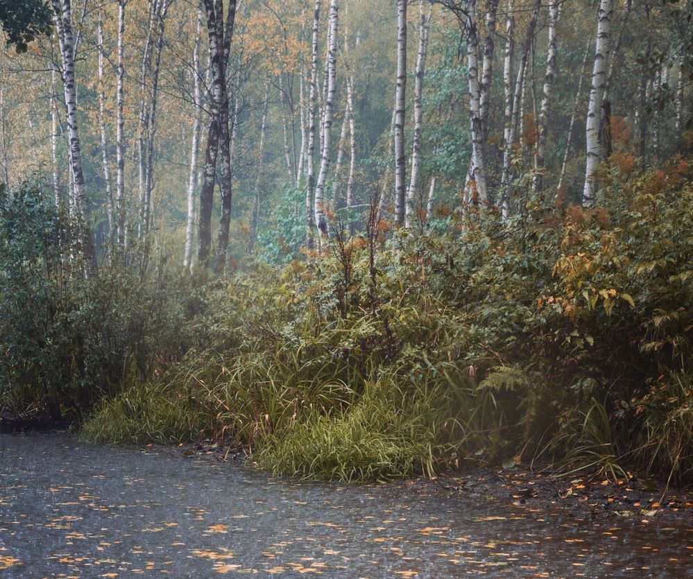 Photograph by Diana K