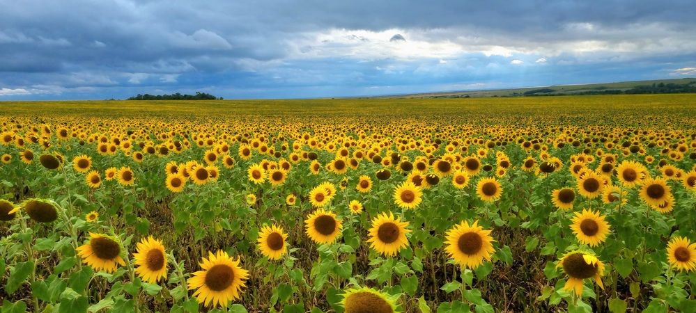 Photograph by Наталья Анисимова