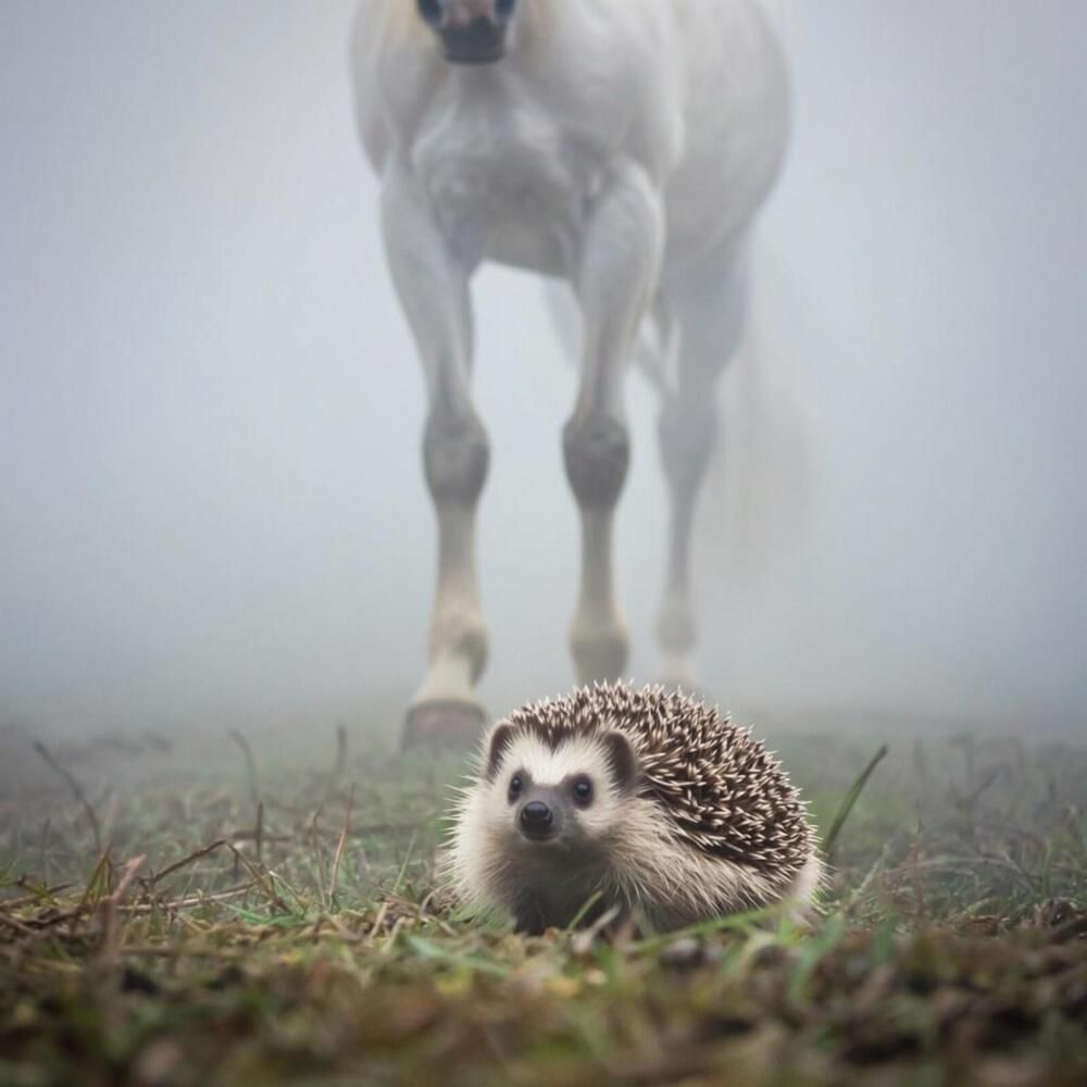 Photograph by Шестакова Елена