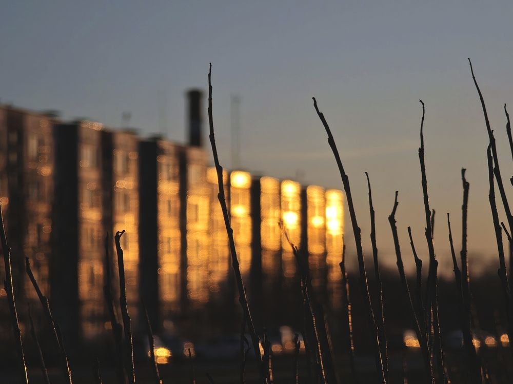 Фотография автора Наташа Данилова