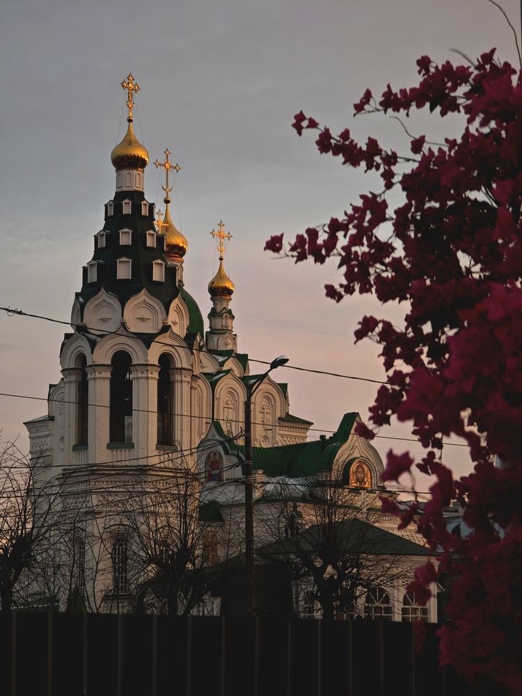 Фотография автора Наташа Данилова