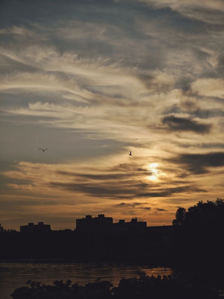 Фотография автора Наташа Данилова