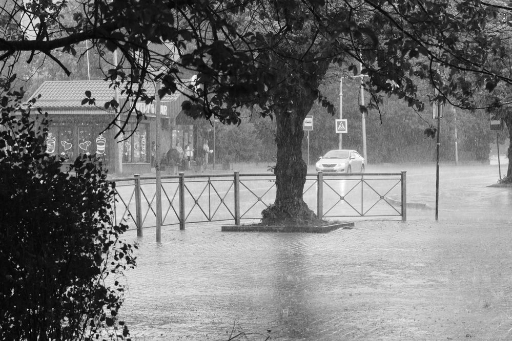 Фотография автора Александр Асланов