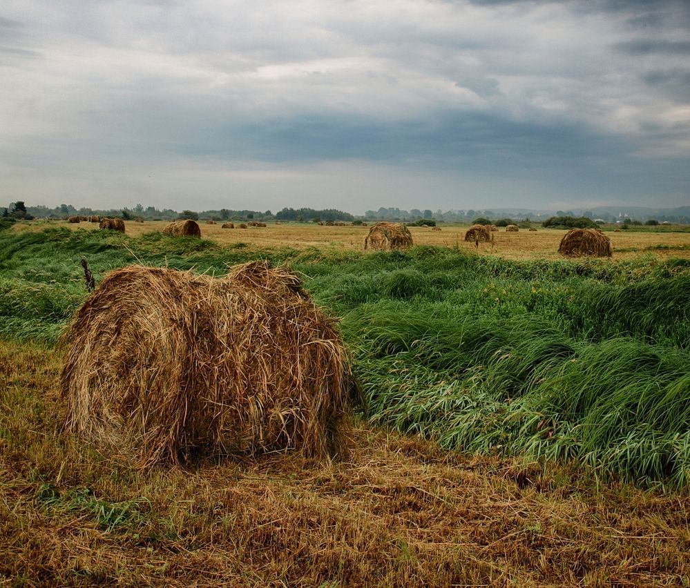 Photograph by Александр Субботин