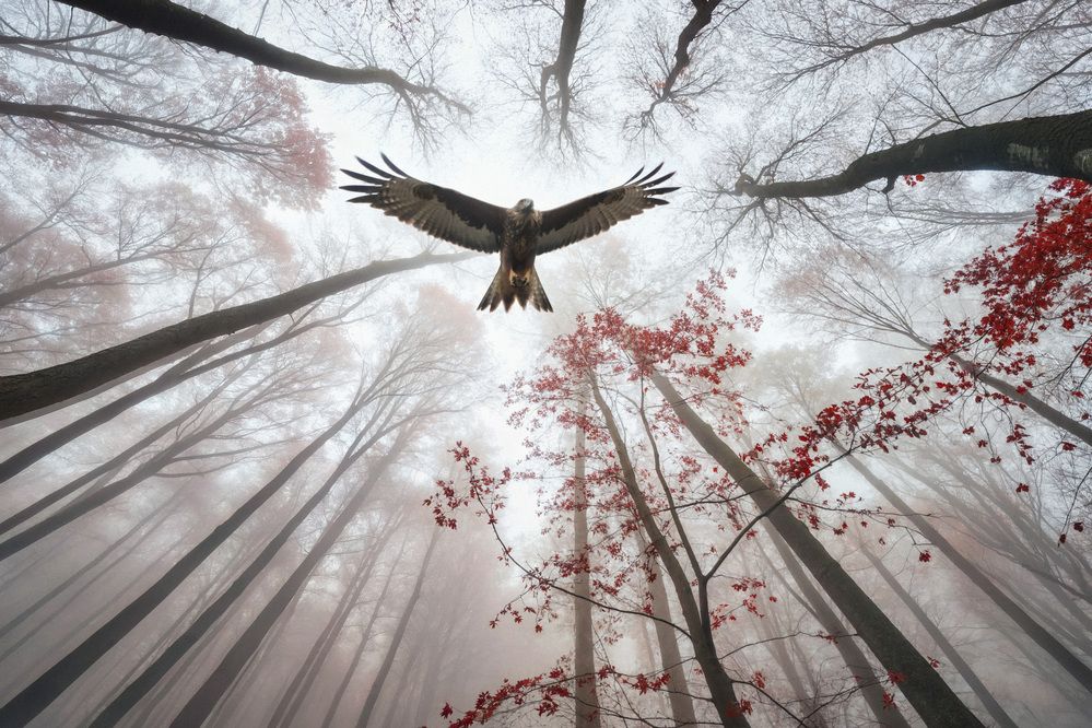 Фотография автора Андрей Рябинин
