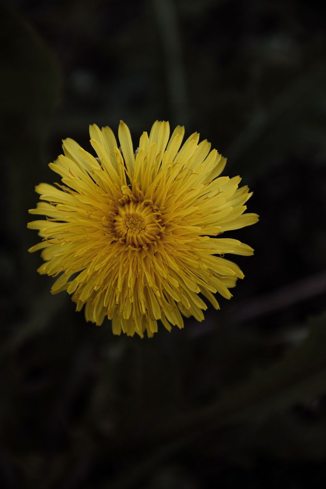 Photograph by Анастасия Псарёва