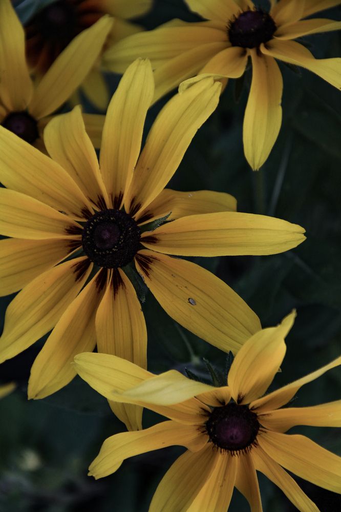 Photograph by Анастасия Псарёва