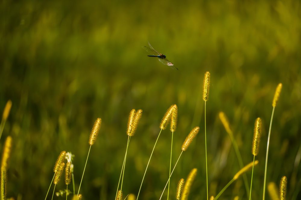 Фотография автора Владимир Хакимов