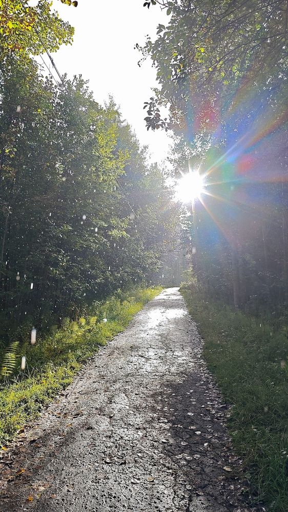 Photograph by Николай Грекалов