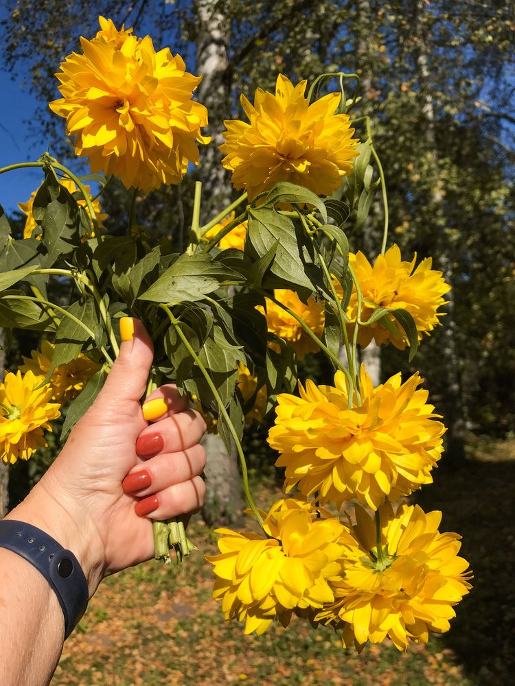 Photograph by Надежда Ткаченко