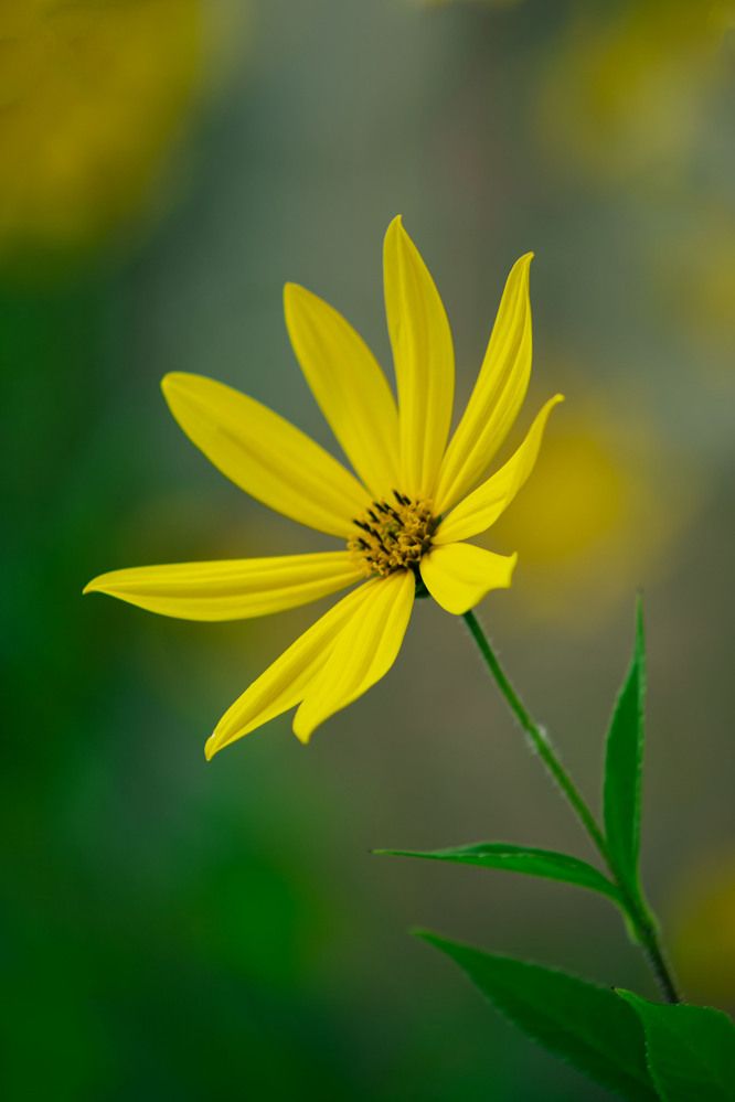 Photograph by Елена Гостева