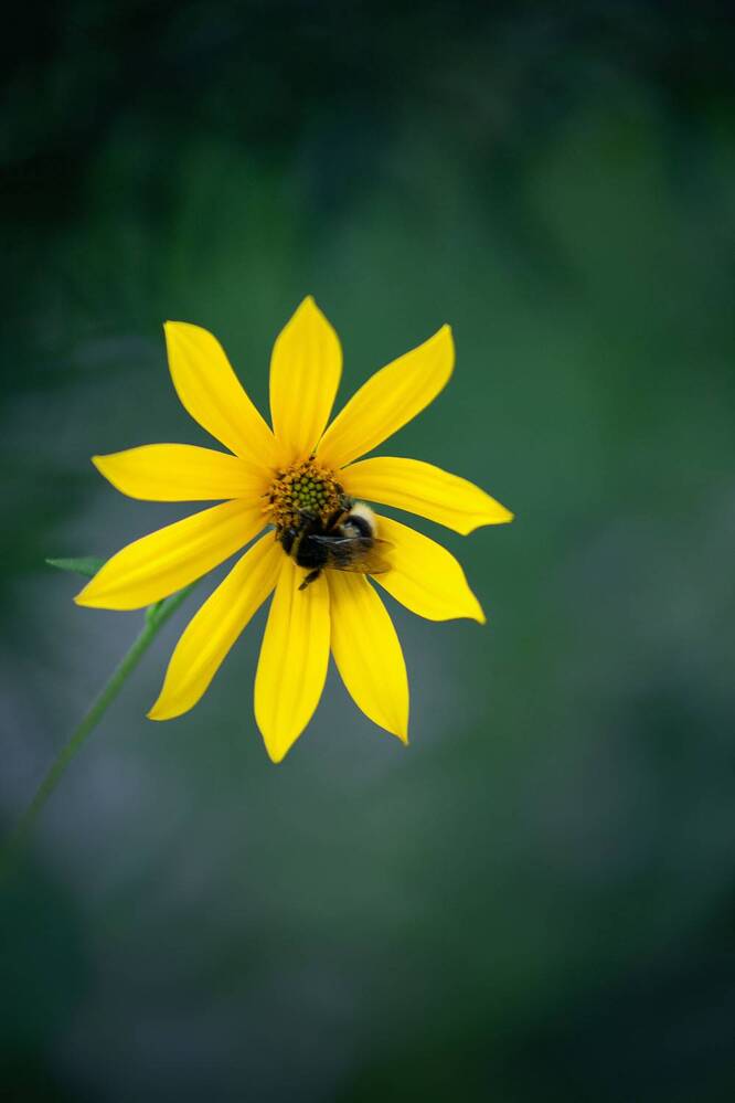 Photograph by Елена Гостева