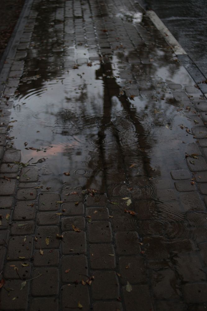 Photograph by Елена Казаренко