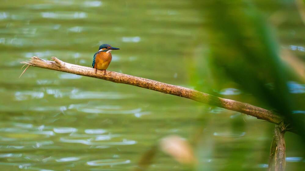 Фотография автора Владимир Хакимов