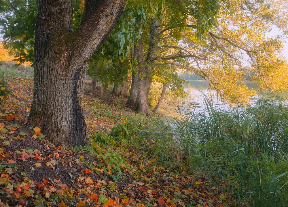 Фотография автора Andrew Kuzmin