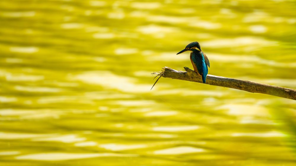 Фотография автора Владимир Хакимов
