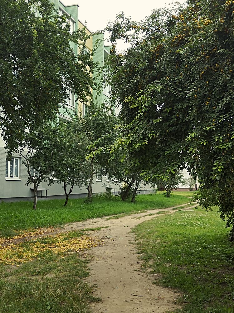 Photograph by Ирина Семенович