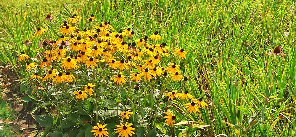 Photograph by Валерия Сопова