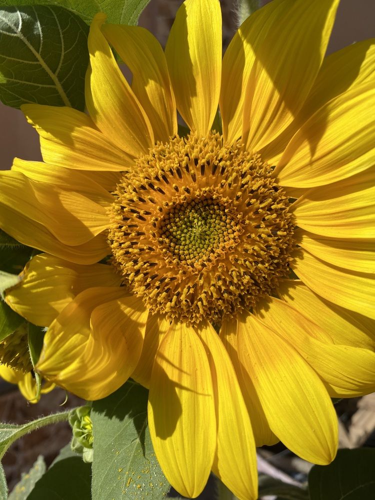 Photograph by Waleed Yousuf Alwahaibi