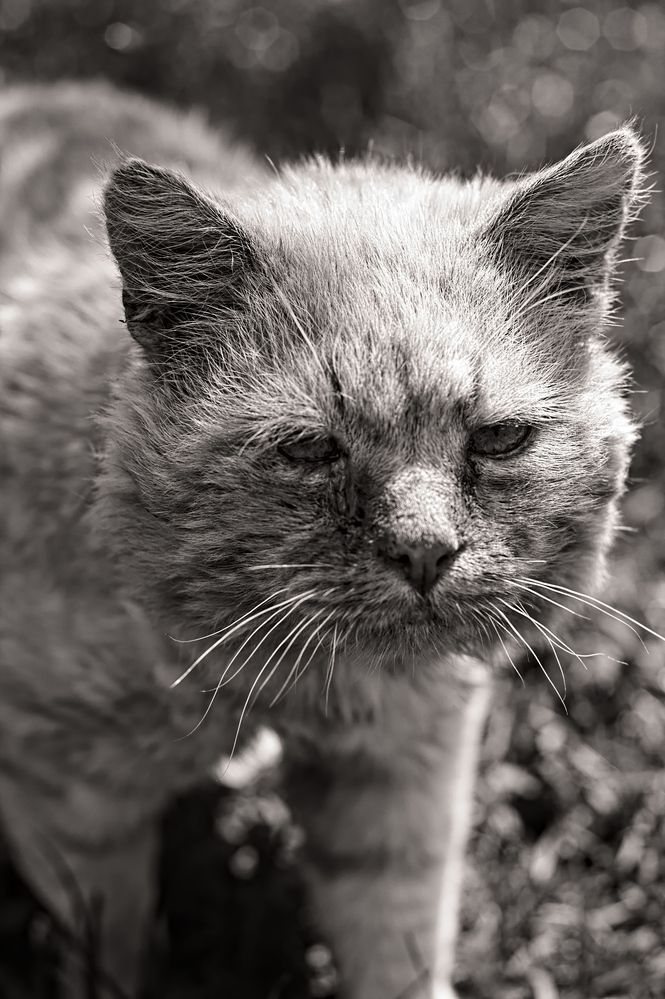 Photograph by Евгений Козлов