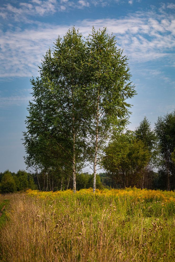Photograph by Светлана Верзилина
