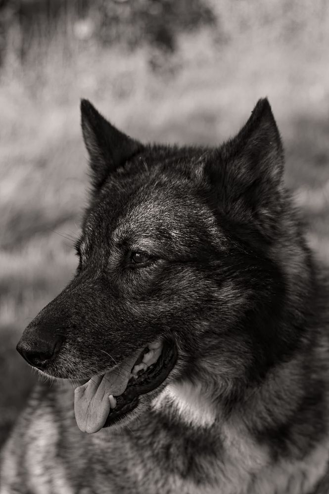 Photograph by Евгений Козлов