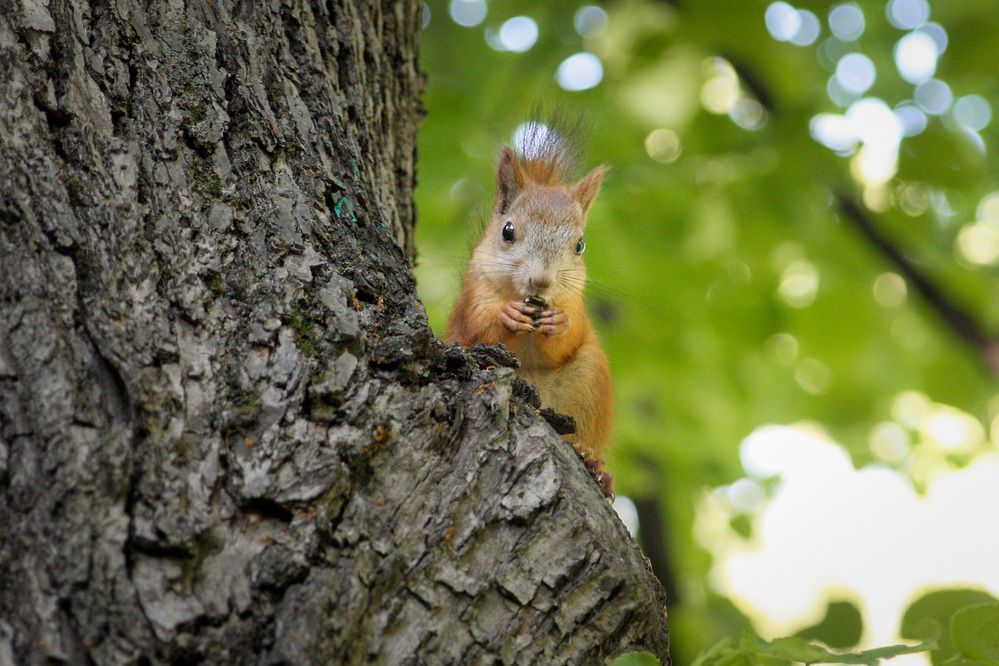 Photograph by Светлана Верзилина