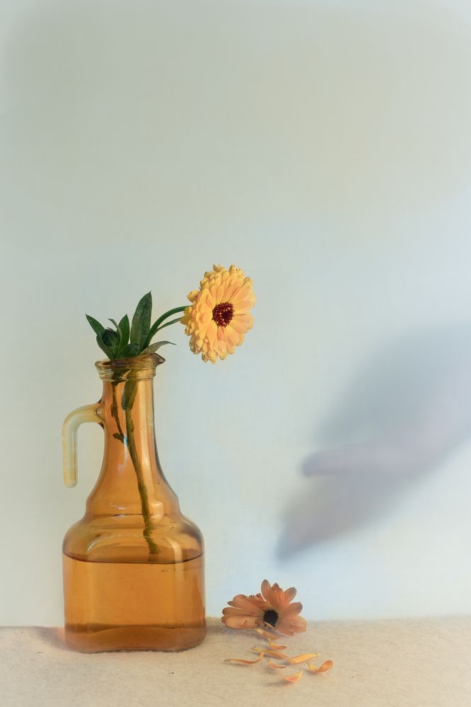 Photograph by Dina Garipova
