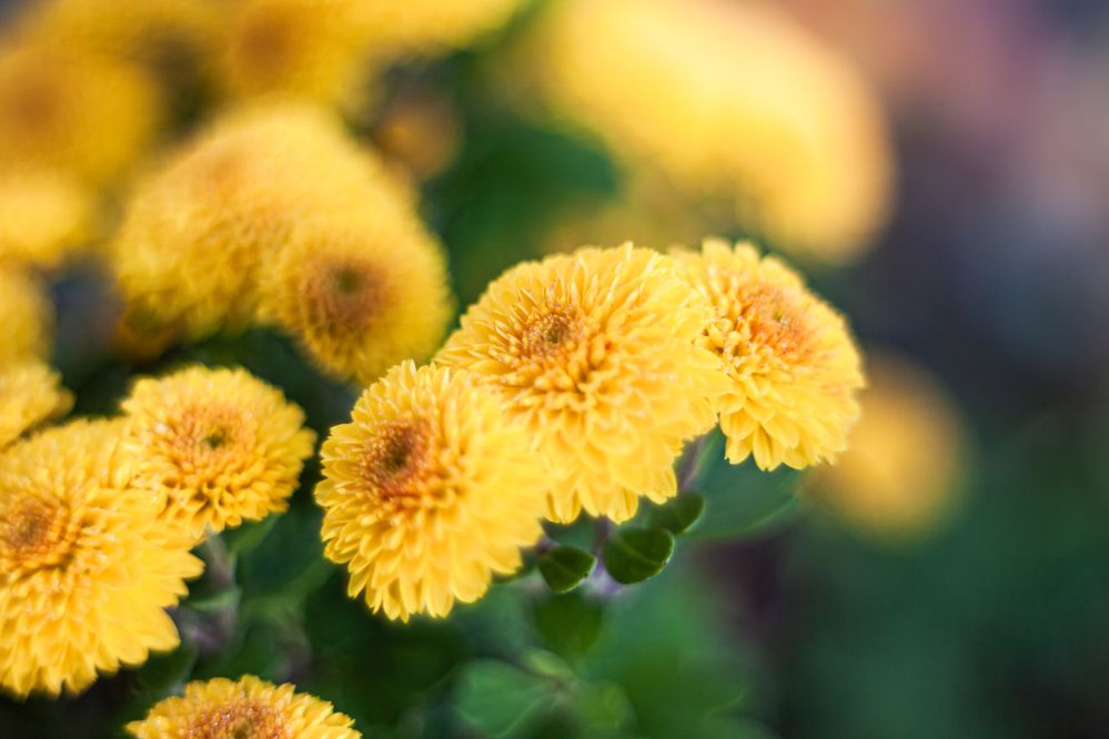 Photograph by Наталья Островцева