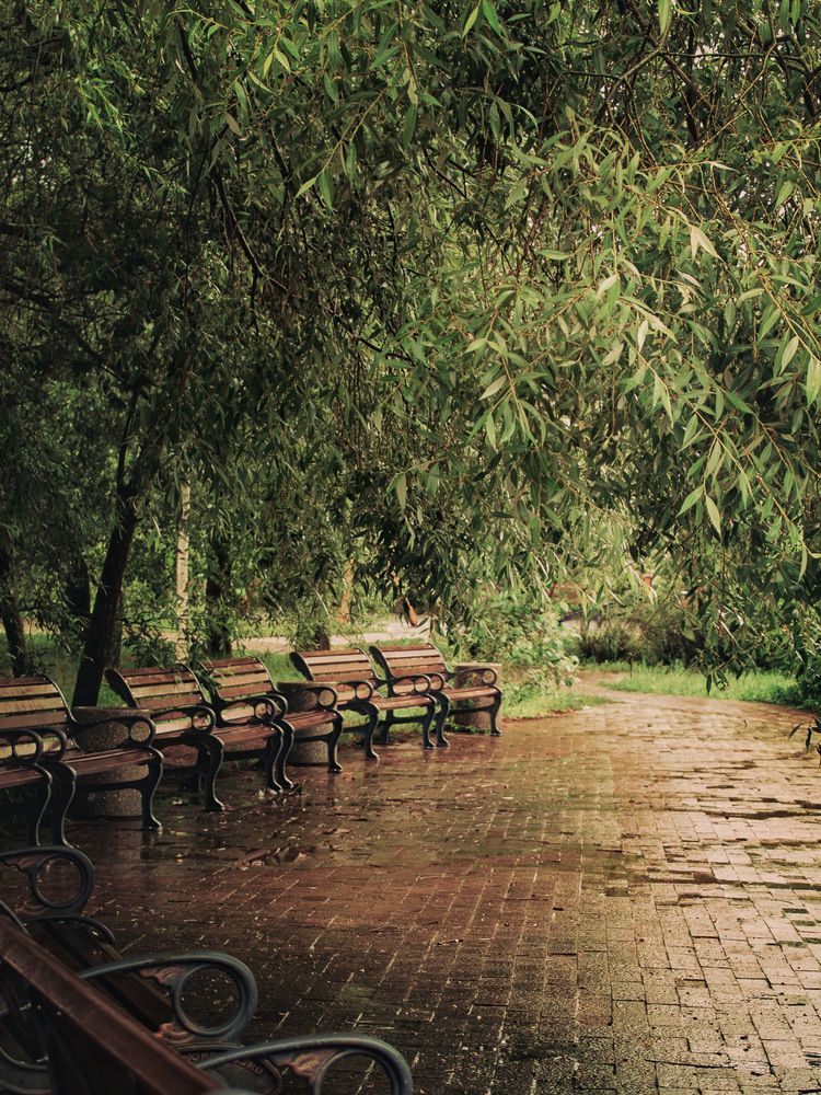 Photograph by Dina Garipova