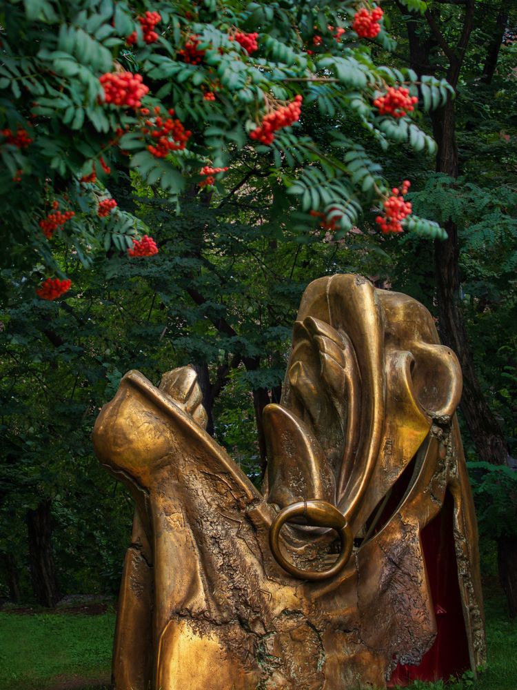 Photograph by Dina Garipova