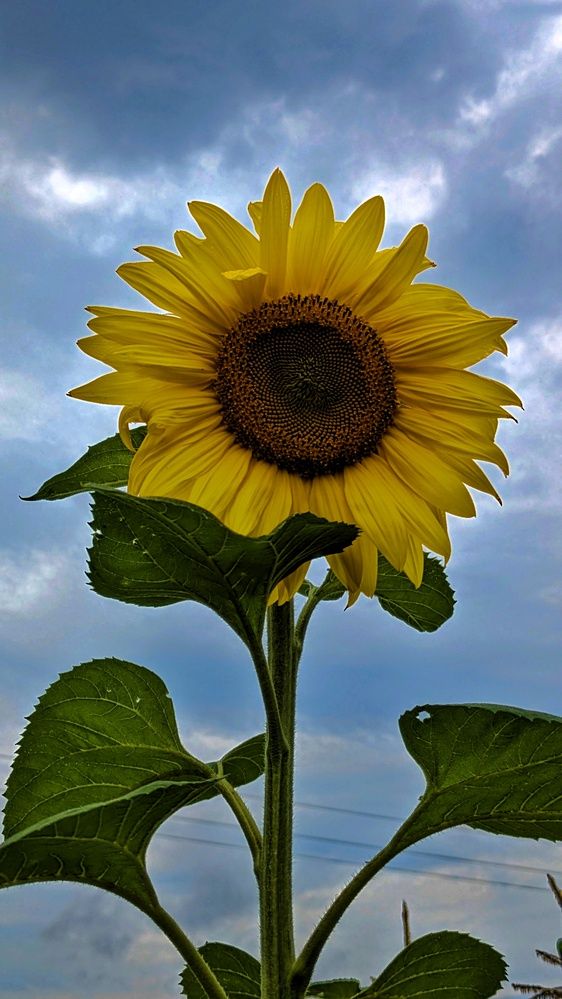 Photograph by Ольга и Андрей Трухан