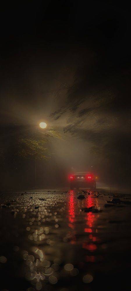 Photograph by Владимир Макр