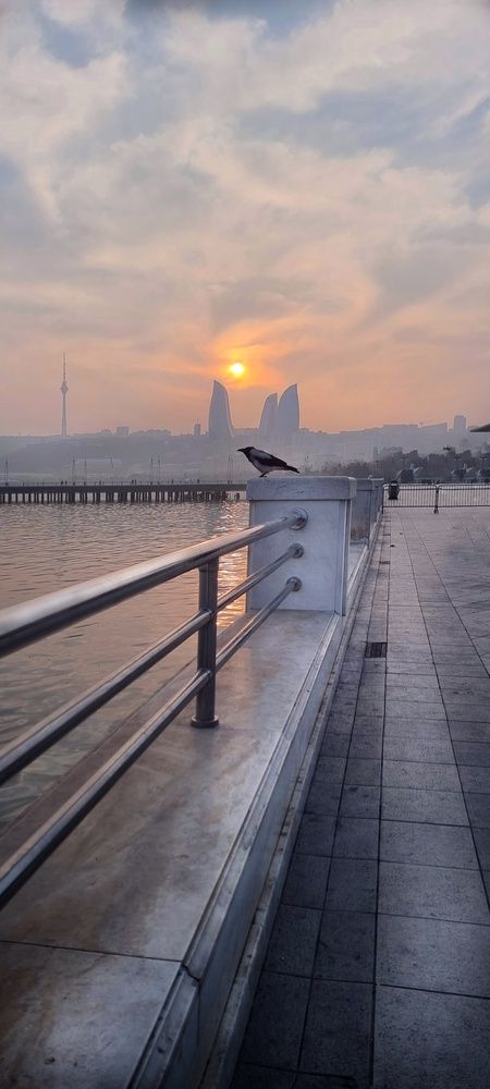 Photograph by Владимир Макр