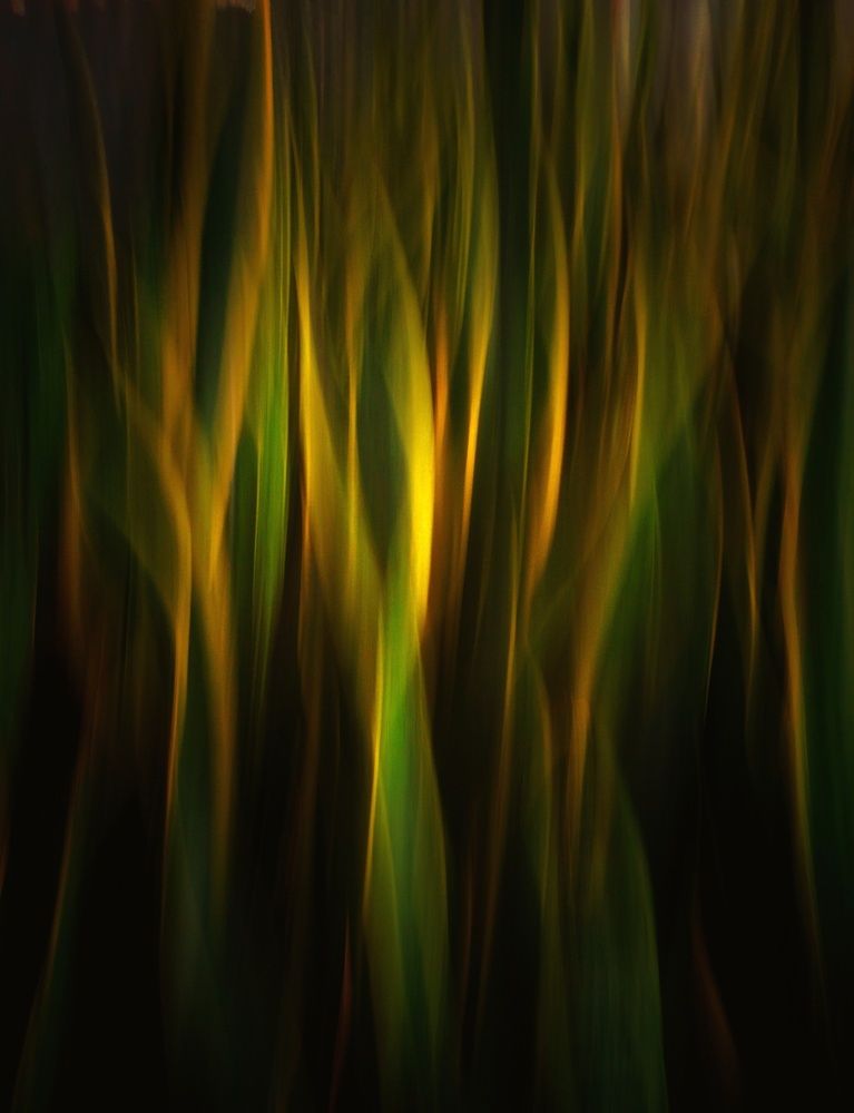 Photograph by Akhoondi Hannaneh