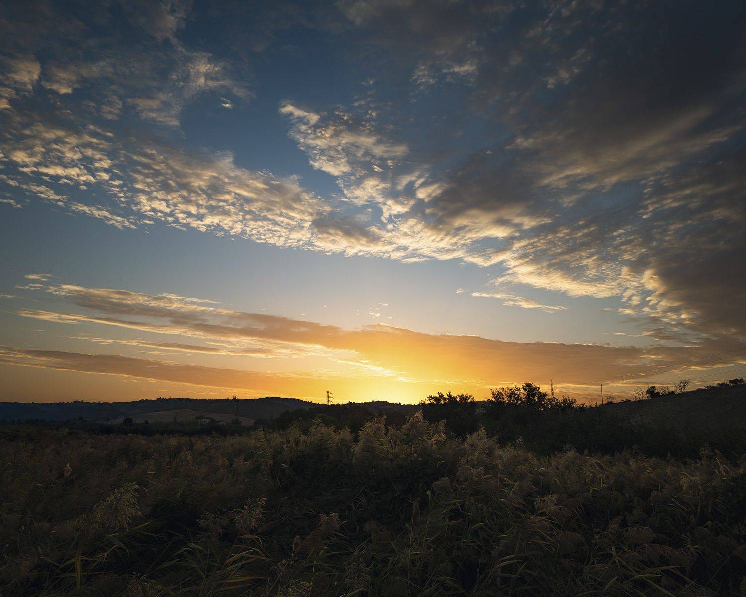 Photo #12621028