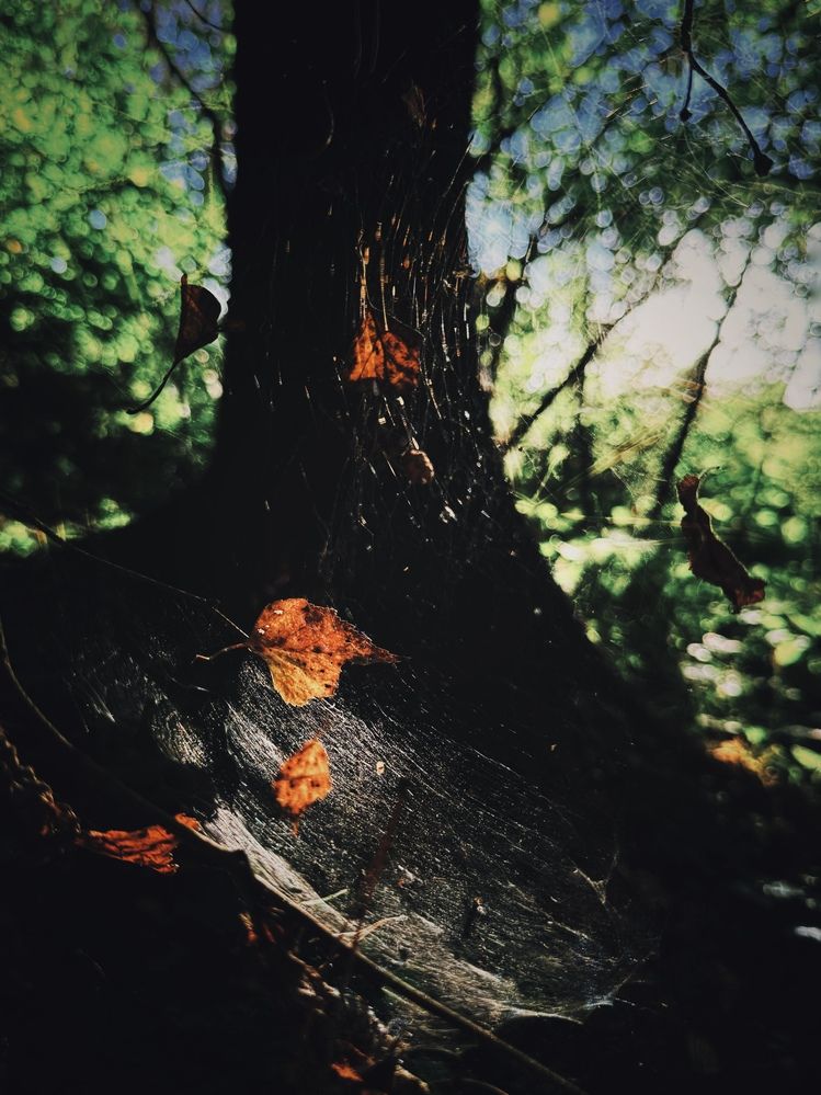 Photograph by Наталья Сережко