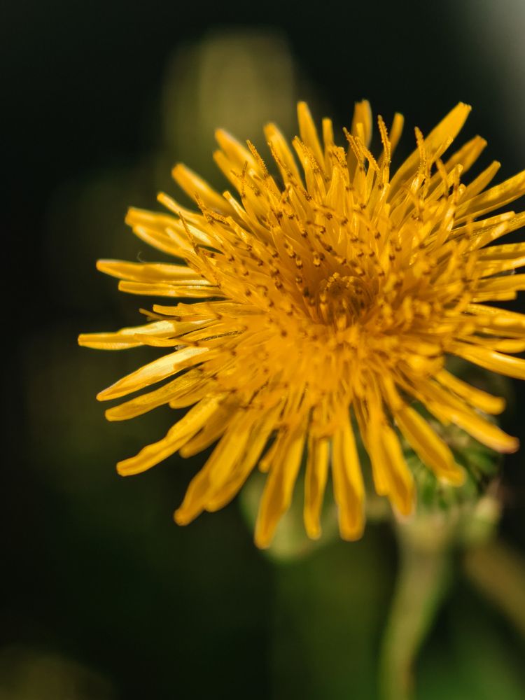 Photograph by Алеся Садченко