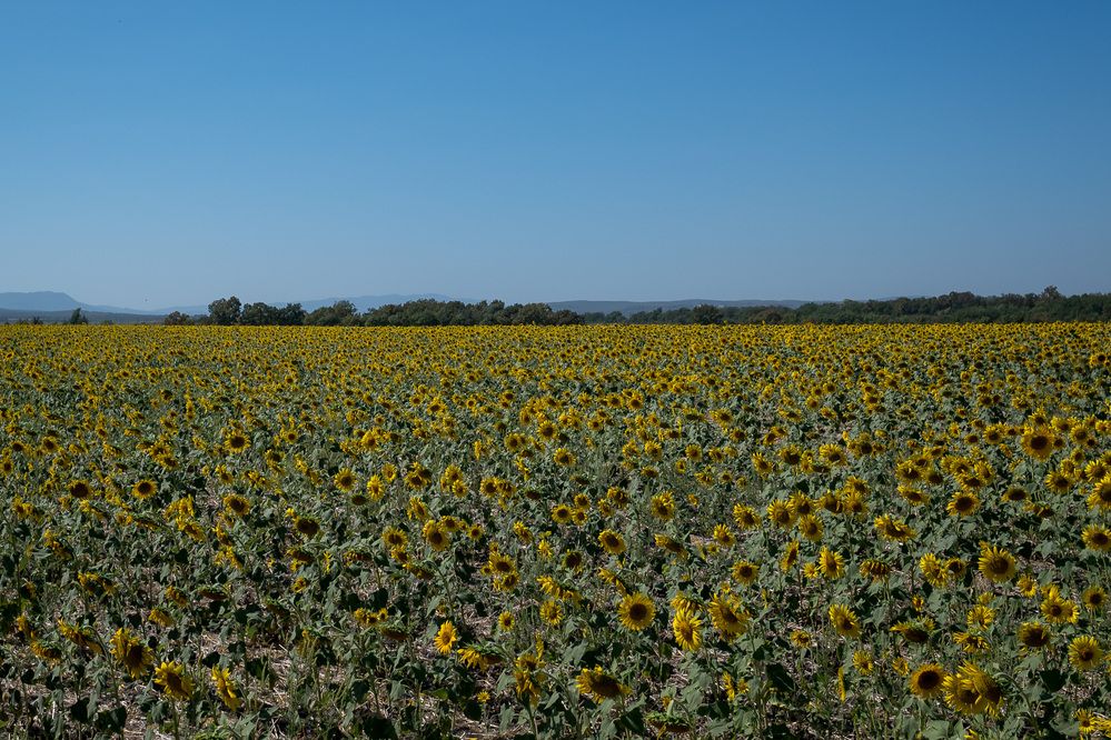 Photograph by Дмитрий Морозов