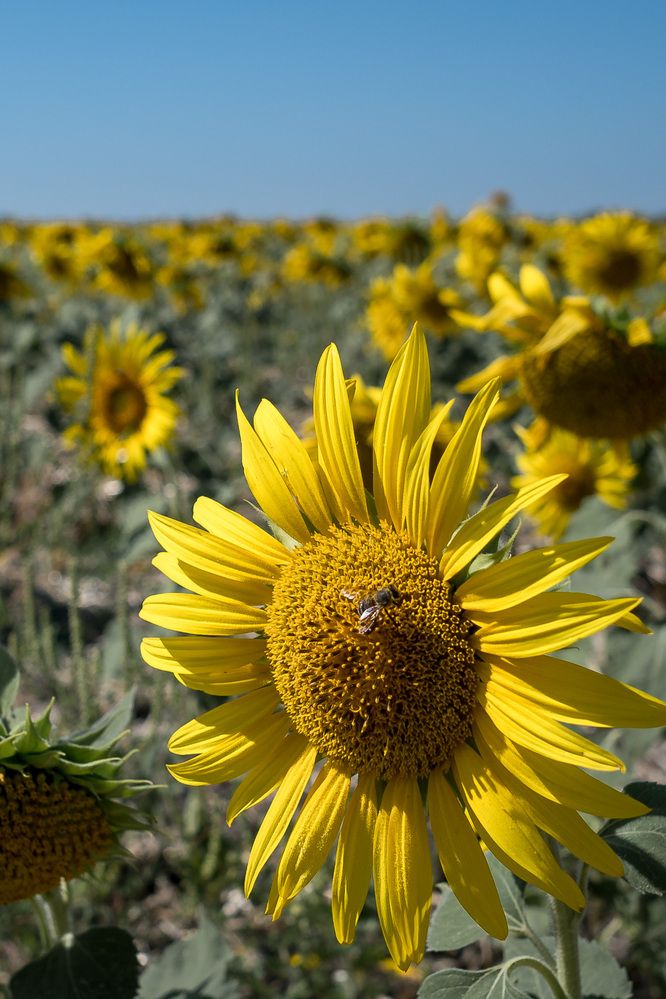Photograph by Дмитрий Морозов