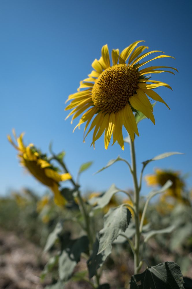 Photograph by Дмитрий Морозов