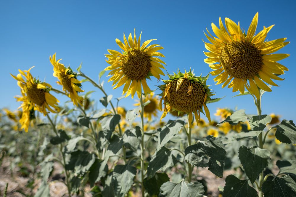 Photograph by Дмитрий Морозов