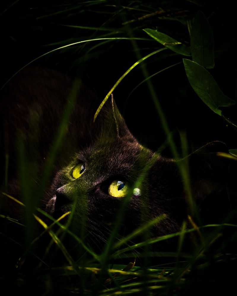 Photograph by Алеся Садченко