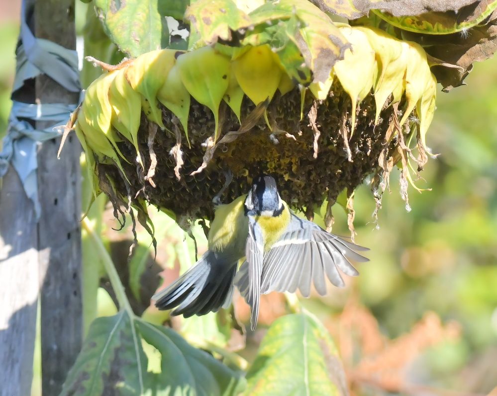 Photograph by Николай Абакумов