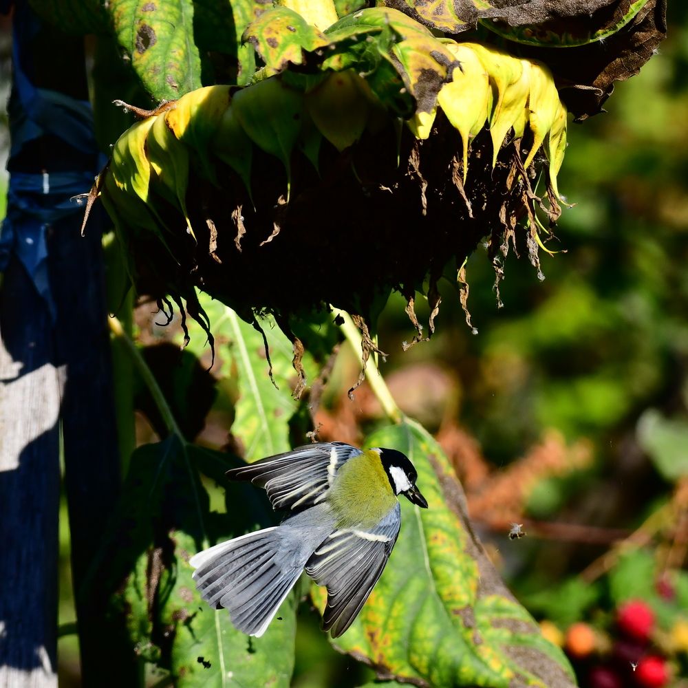 Photograph by Николай Абакумов