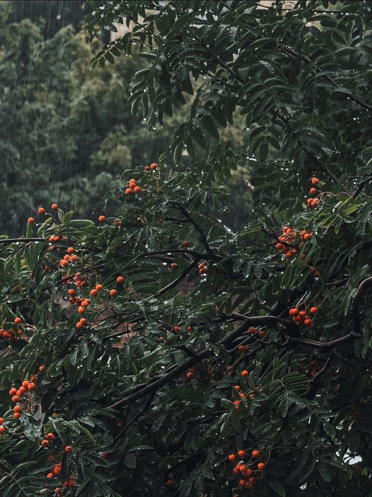 Фотография автора Мария