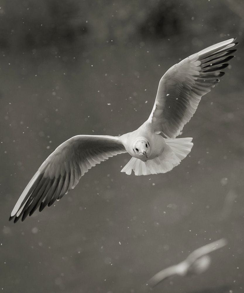 Фотография автора Константин Яковлев